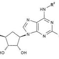 Imagen de 'Derivados purina para uso como agonistas del receptor adenosina…'