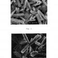 Imagen de 'Partículas columnares de óxido de cinc y método para producción…'