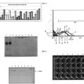 Imagen de 'Anticuerpos monoclonales contra la proteína PBP2a y secuencias…'