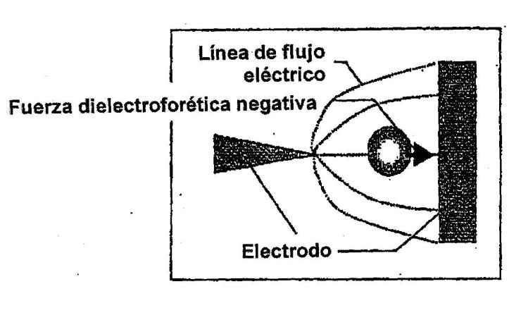 CONSTRUCCION DE ELECTRODOS PARA APARATO DIELECTROFORETICO Y SEPARACION POR DIELECTROFORESIS.