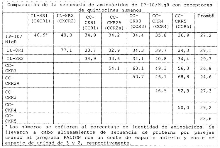 RECEPTOR DE QUIMIOCINAS CXCR3, ANTICUERPOS, ACIDOS NUCLEICOS Y METODOS DE USO.