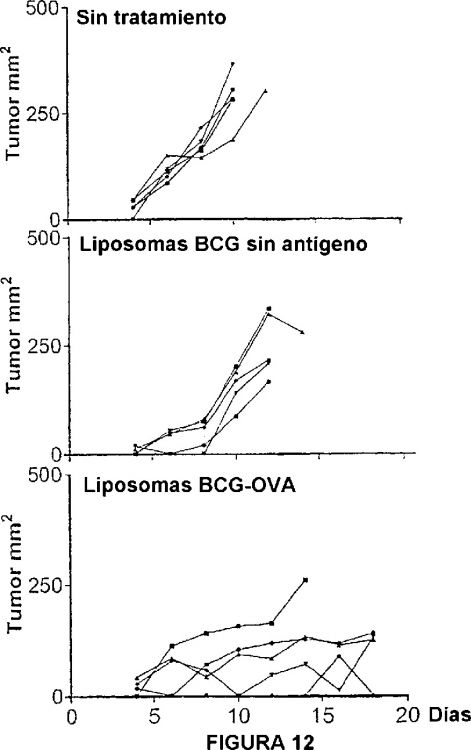 LIPOSOMAS PREPARADOS A PARTIR DE LIPIDOS EXTRAIBLES DE MYCOBACTERIUM.