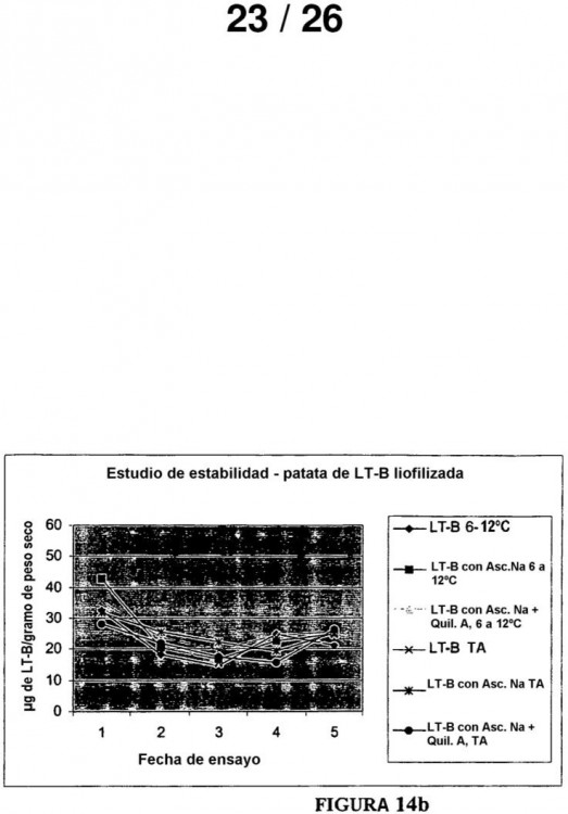 Ilustración 6 de la Galería de ilustraciones de PROCEDIMIENTO Y COMPOSICIONES PARA PRODUCTOS FARMACÉUTICOS DE PLANTAS TRANSGÉNICAS ESTABLES Y SU UTILIZACIÓN COMO ANTICONCEPTIVOS