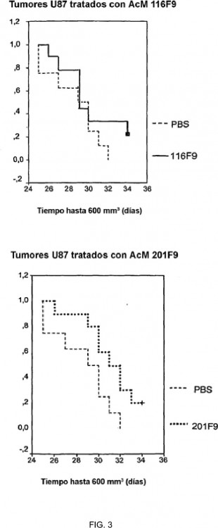 Ilustración 3 de la Galería de ilustraciones de ANTICUERPO NONOCLONAL YKL-40