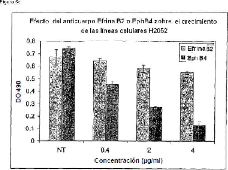 Ilustración 3 de la Galería de ilustraciones de ANTICUERPOS QUE SE UNEN A EPHB4 PARA INHIBIR LA ANGIOGÉNESIS Y EL CRECIMIENTO TUMORAL