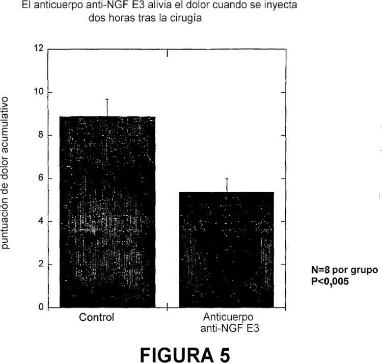 Ilustración 6 de la Galería de ilustraciones de PROCEDIMIENTOS PARA TRATAR DOLOR POSTQUIRÚRGICO MEDIANTE LA ADMINISTRACIÓN DE UN ANTICUERPO FRENTE AL FACTOR DE CRECIMIENTO NERVIOSO Y COMPOSICIONES QUE CONTIENEN EL MISMO