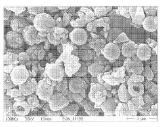 Compuestos de micropartículas inorgánicas y/u orgánicas y nanopartículas de dolomita.