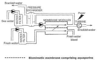 Membrana de agua biomimética que comprende acuaporinas usadas en la producción de energía de sanilidad.