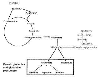 Procedimientos para distinguir entre la glutamina formada por cataplerosis o formada por proteólisis.