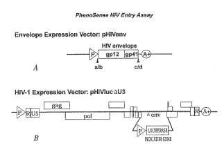 Composición y métodos para determinar la resistencia a inhibidores de la entrada de virus usando ensayos de virus recombinantes.