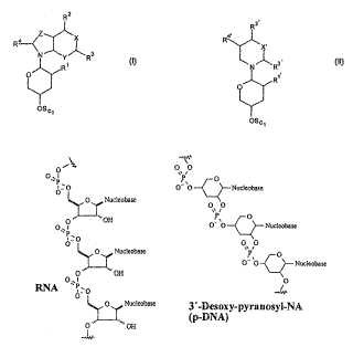 Ácido 3''-desoxipentopiranosil-nucleico y su preparación.