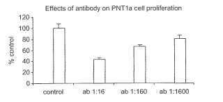 Usos terapéuticos de anticuerpos monoclonales contra el receptor de tipo 1 de la angiotensina II.