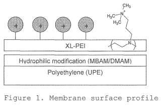 Medios para cromatografía de intercambio iónico sobre membrana.