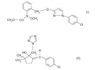 Uso de pyraclostrobin como protector para triticonazol en el control de hongos nocivos.