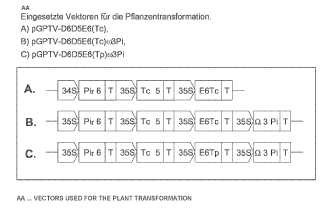Método para la producción de ácido araquidónico y/o ácido eicosapentanoico en plantas útiles transgénicas.