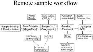 Método para determinar la metilación de ADN en muestras de sangre u orina.