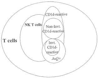 Composiciones y métodos de anticuerpos monoclonales y policlonales específicos para subpoblaciones de linfocitos T.