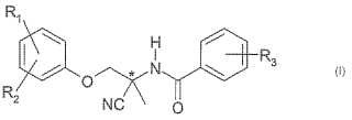 Procedimiento para la preparación de enantiómeros de compuestos de amidoacetonitrilo a partir de sus racematos.