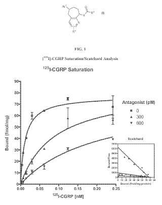 Derivados de piperidina como antagonistas del receptor de CGRP.