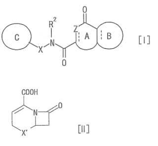 Compuesto de amida heterocíclica y uso del mismo como un inhibidor de MMP-13.