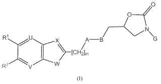 2-Benzotiofenil y 2-naftil-oxazolidinonas y sus análogos azaisósteros como agentes antibacterianos.