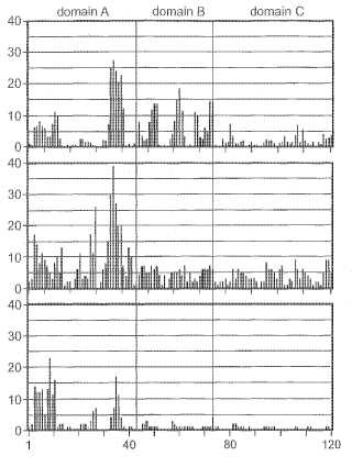 Dominios y epítopes de proteínas meningocócicas NMB 1870.