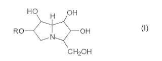 Pirrolizidina polihidroxilada.