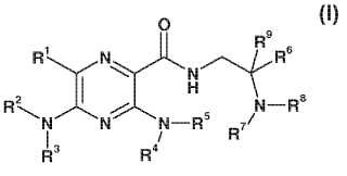 Derivados del ácido 3,5-diamino-6-cloro-pirazina-2-carboxílico y su uso como bloqueadores del canal del sodio epitelial para el tratamiento de enfermedades de las vías respiratorias.