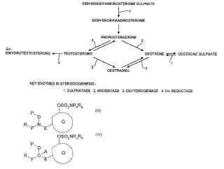 Compuestos de éster de ácido sulfámico útiles en la inhibición de la actividad esteroide sulfatasa y la actividad aromatasa.