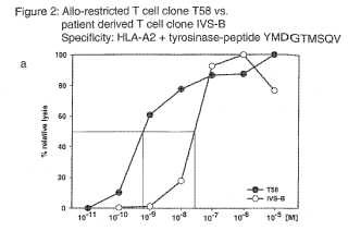 Receptor de células T de alta afinidad y uso del mismo.