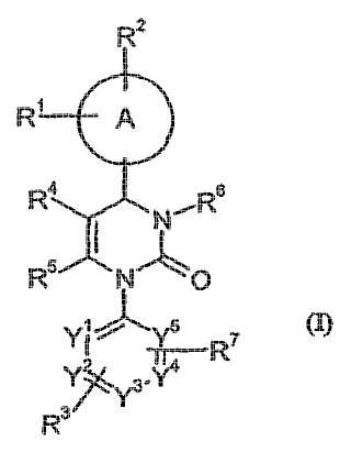 1,4-diaril-dihidropirimidin-2-onas y su uso como inhibidores de elastasa de neutrófilos humanos.