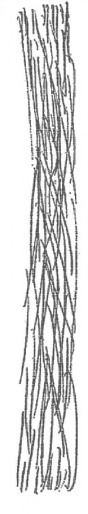 Hilos que contienen fibras de poliéster de micro-denier siliconadas.
