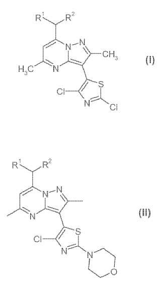 Compuestos de tiazolil-pirazolopirimidina como intermedios sintéticos y procedimientos de síntesis relacionados.