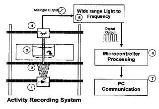 Procedimiento y dispositivo para el registro locomotor de organismos pequeños, registro de comportamiento obtenido y uso del mismo.