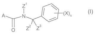 N-ciclopropil-N-bencilamidas como fungicidas.