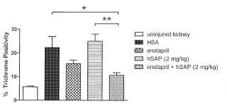 Combinación de SAP y de enalapril para su uso en tratamiento de trastornos fibróticos o fibroproliferativos.