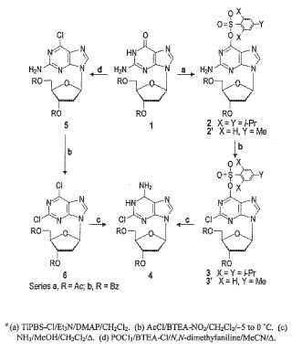 Método para la preparación de compuestos 2-halo-2''-desoxiadenosina a partir de 2''-desoxiguanosina.