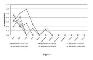 Método de biorremediación de blooms de cianobacterias mediante el uso de deshechos de la industria maderera del eucalipto (Eucaliptus spp.) en aguas dulces.