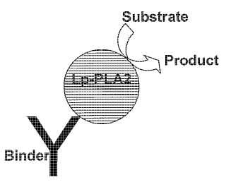 Métodos para determinar la actividad de Lp-PLA2.