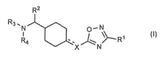 Derivados de oxadiazol sustituidos y su utilización como ligandos de los receptor opioides.