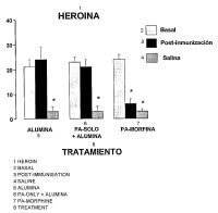Preparación y utilización de una vacuna bivalente contra la adicción a la morfina y la heroína.