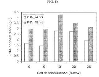 Utilización de partículas celulares generadas a partir de la recuperación de PHA para crecimiento celular mejorado.
