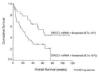 Método para determinar un régimen quimioterapéutico basado en la expresión de ERCC1.