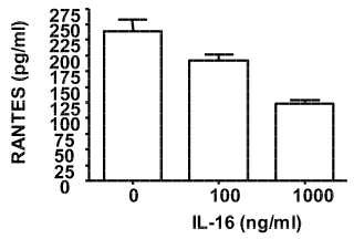 Método para la detección de actividad IL-16 y modulación de actividad IL-16 en base a niveles RANTES proxy.