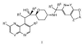Derivados de 5-amino-2-(1-hidroxi-etil))-tetrahidropirano.