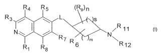 Derivados de isoquinolina e isoquinolinona bi- y policíclicos sustituidos como inhibidores de rho cinasa.