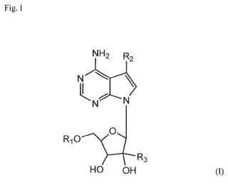 Nuevos nucleósidos de 7-desazapurina para usos terapéuticos.