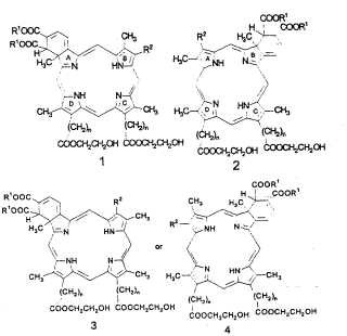 Uso de etilenglicol ésteres de derivados de monohidrobenzoporfirina como agentes fotoactivos.
