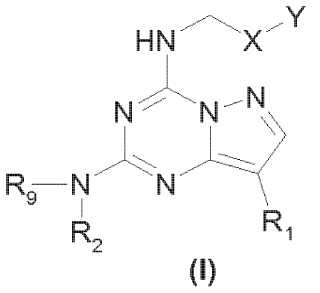 Derivados de pirazolo[1,5-a]-1,3,5-triazinas, su preparación y su aplicación en terapéutica.