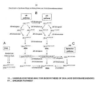 Método para preparar ácidos grasos poliinsaturados en plantas transgénicas.